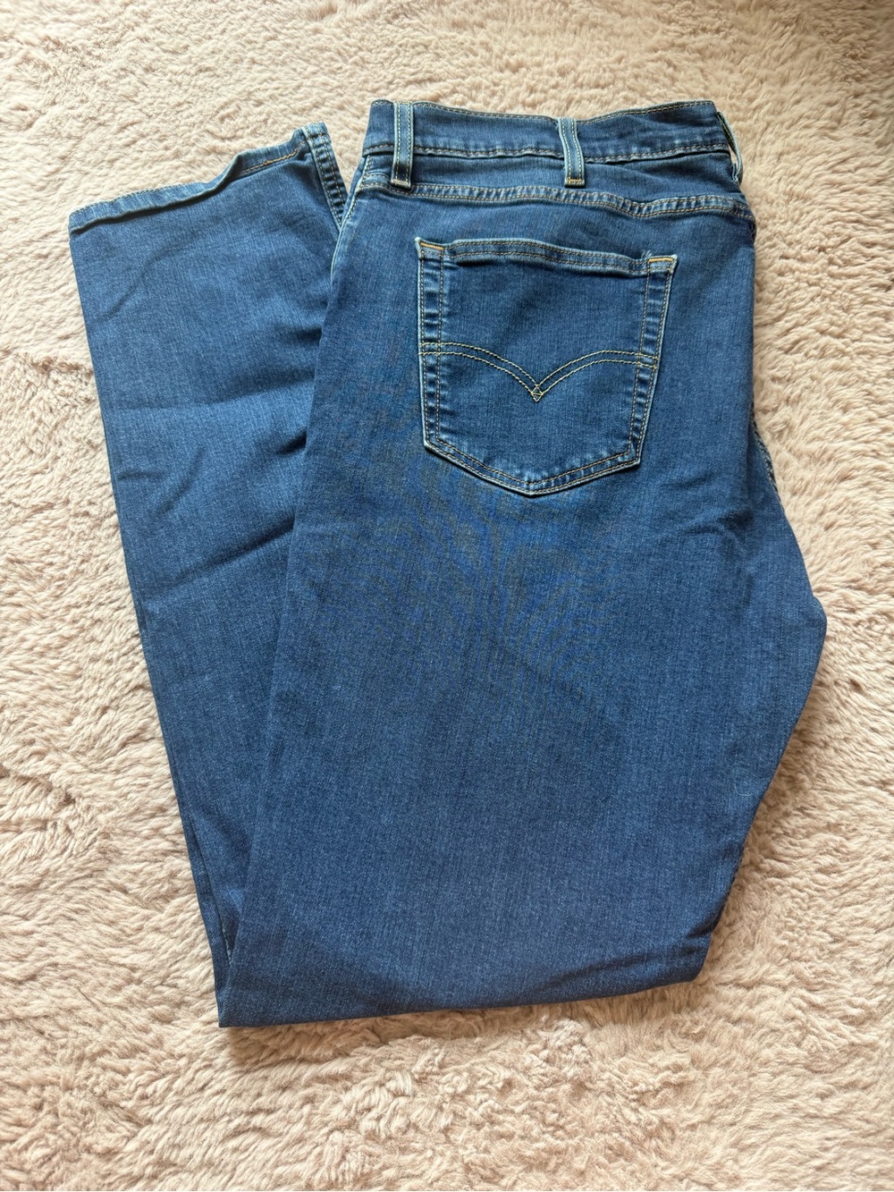 Signature by Levi Strauss Men's Straight Leg Blue Jeans
